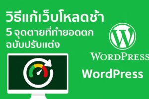 วิธีแก้เว็บโหลดช้า,เว็บอืด,ปรับแต่ง WordPress,Core Web Vitals,LCP คืออะไร,SEO Audit